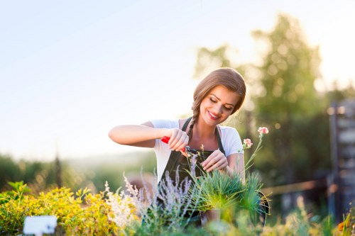 A woman in a light blue top is tending to a colorful garden in natural daylight, using a small gardening tool to prune or plant among a variety of flourishing green plants, shrubs, and flowering flowers. The garden features a neatly maintained lawn with dense, healthy grass in the foreground, bordered by flower beds filled with vibrant yellow, white, and pink blooms. In the background, there are mature trees and hedges creating a structured outdoor space, possibly part of a residential property in Thornton Heath. The scene is bathed in warm sunlight, suggesting a clear day with gentle lighting that highlights the natural textures of the grass, plants, and flower petals. The garden appears well-kept, reflecting regular outdoor maintenance, and supports local gardening services provided by Lawn Mowing Thornton Heath. The overall setting is tranquil, showcasing an inviting outdoor area suitable for gardening activities, accessible for professional lawn care, and designed for aesthetic appeal in a suburban environment.