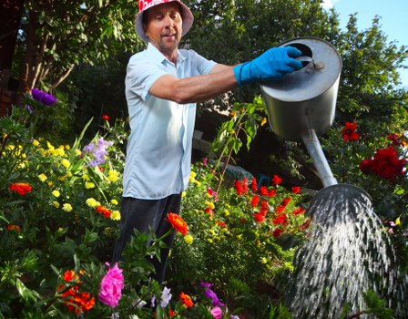 Gardener using high-quality equipment for lawn mowing in Thornton Heath